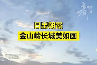 约内斯库：能和库里被放一起讨论很荣幸 十年前我肯定不会信